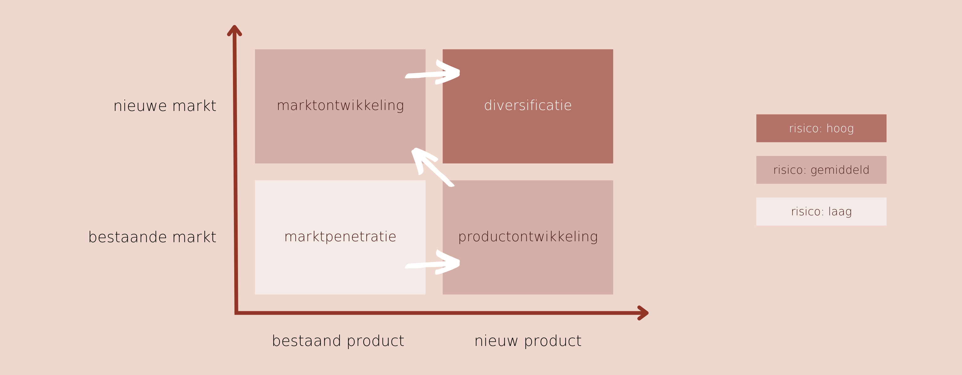 ansoff-risks-and logical-steps-to-follow